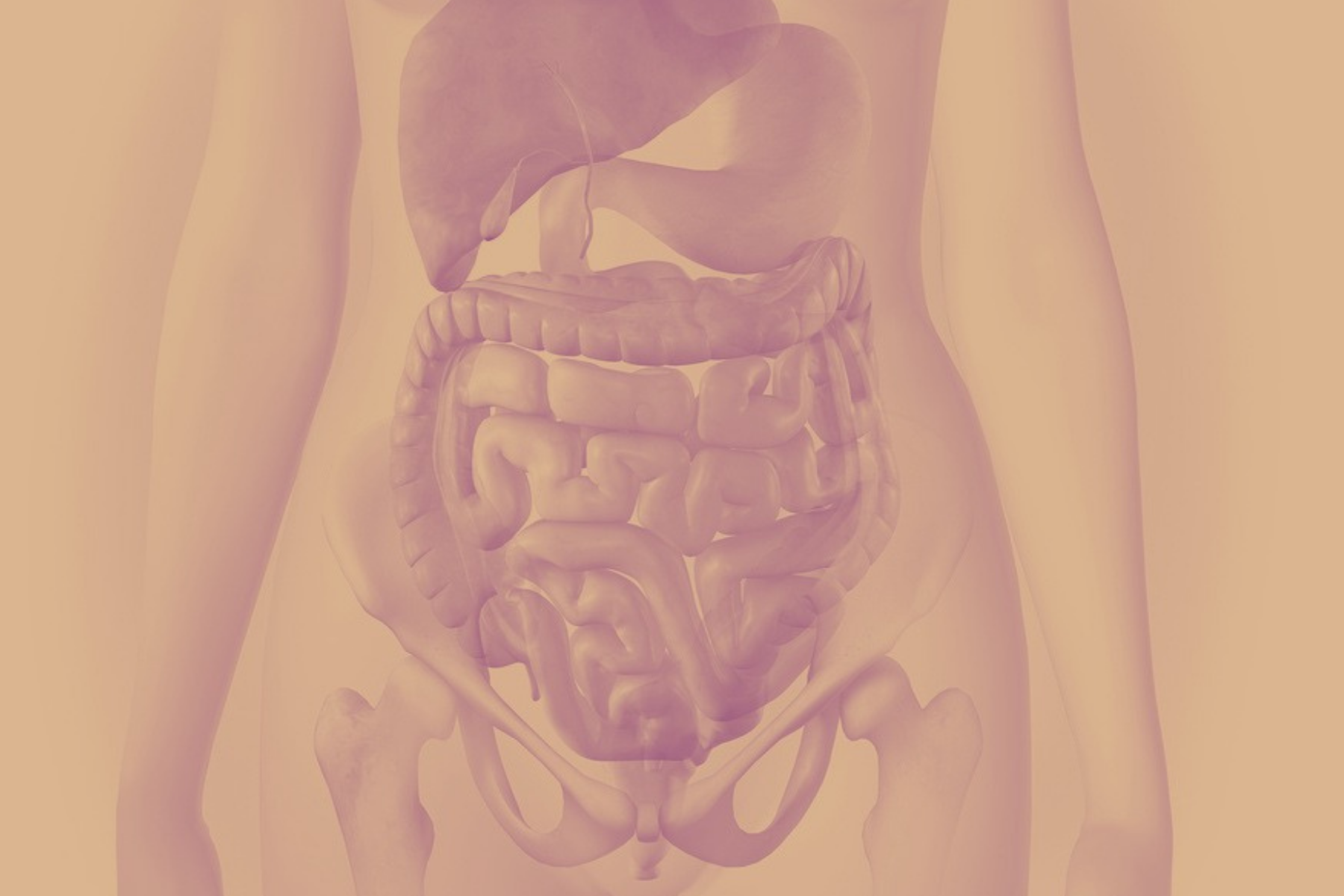 Antibiotics and Gut Health