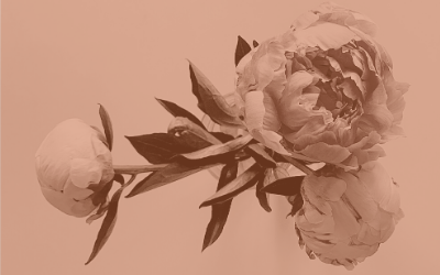 Louise's Eczema Journey