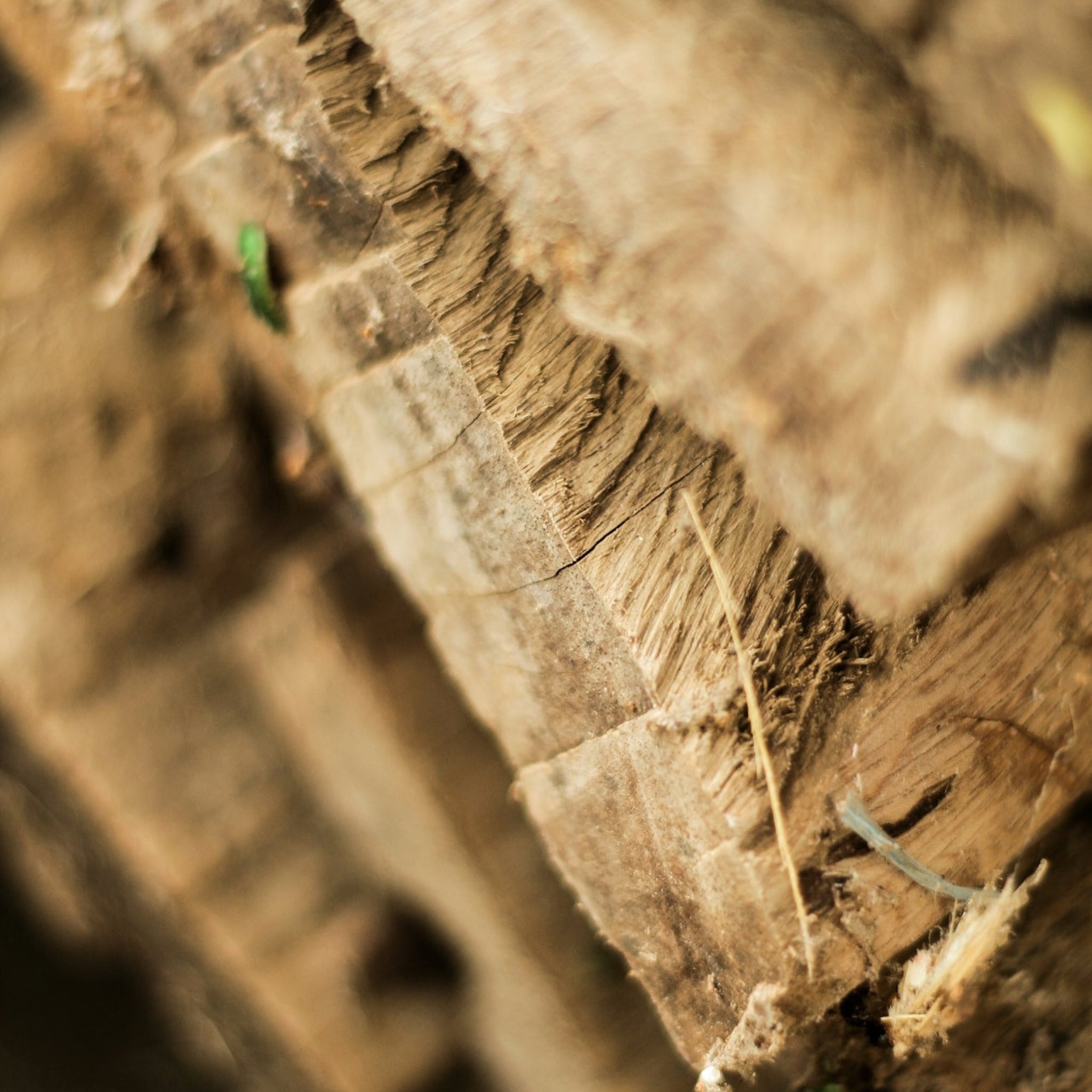 Living With Fibromyalgia