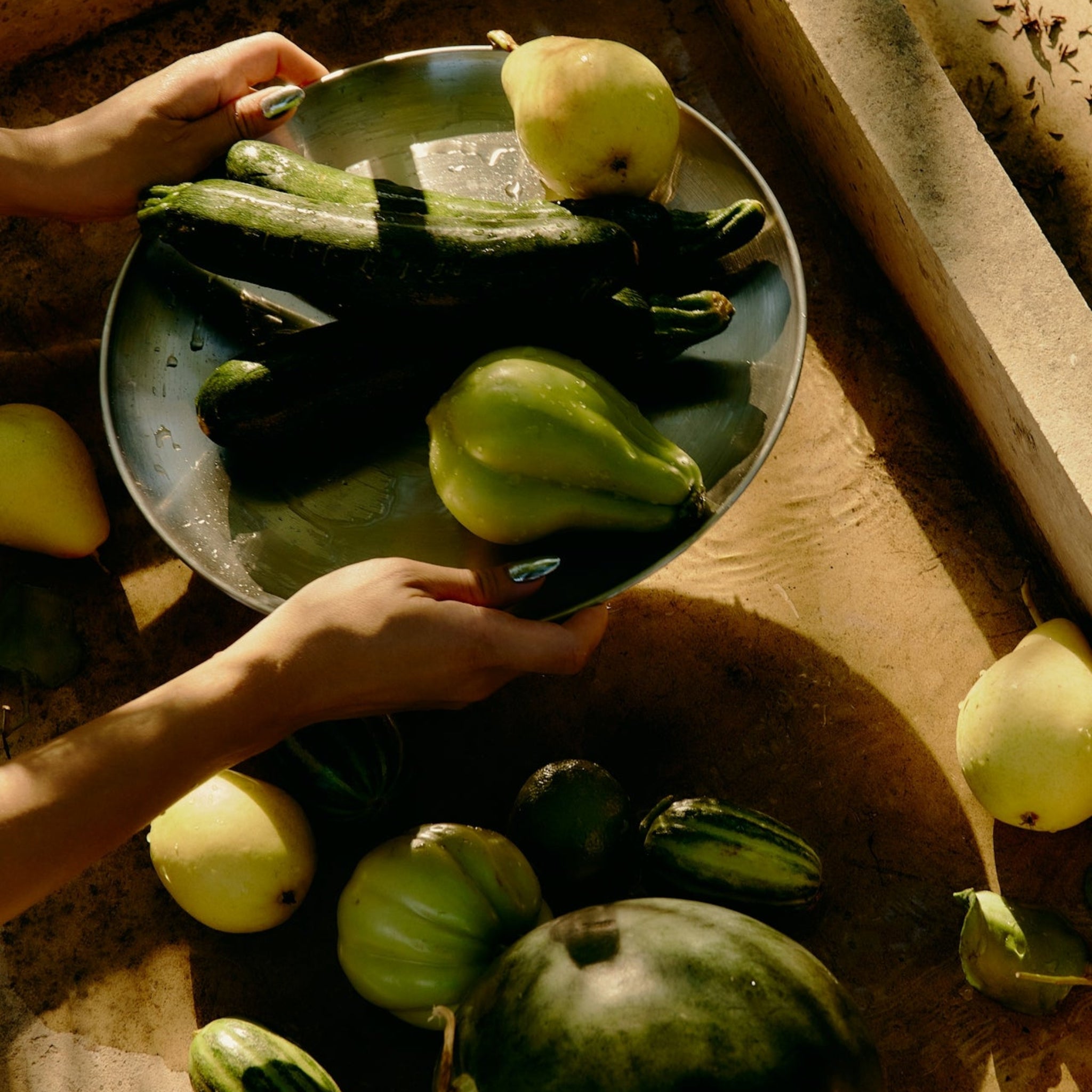 Invest in the GREENS Party