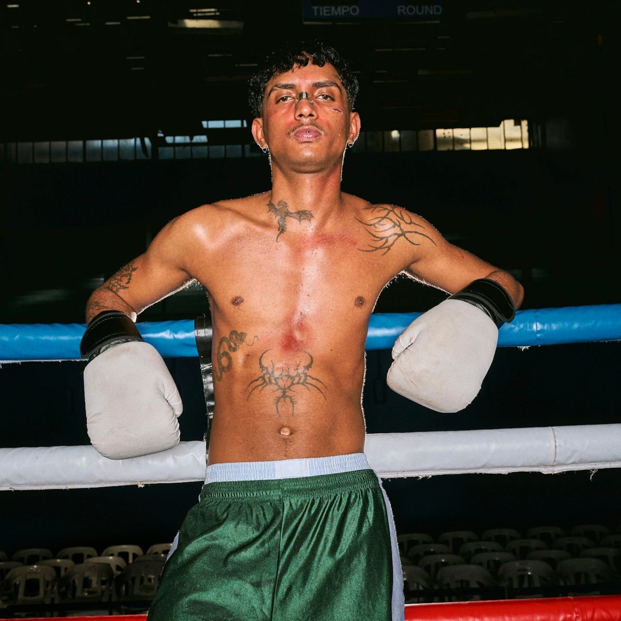 Roll With The Punches