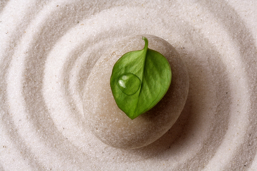 Gut Health & Detox