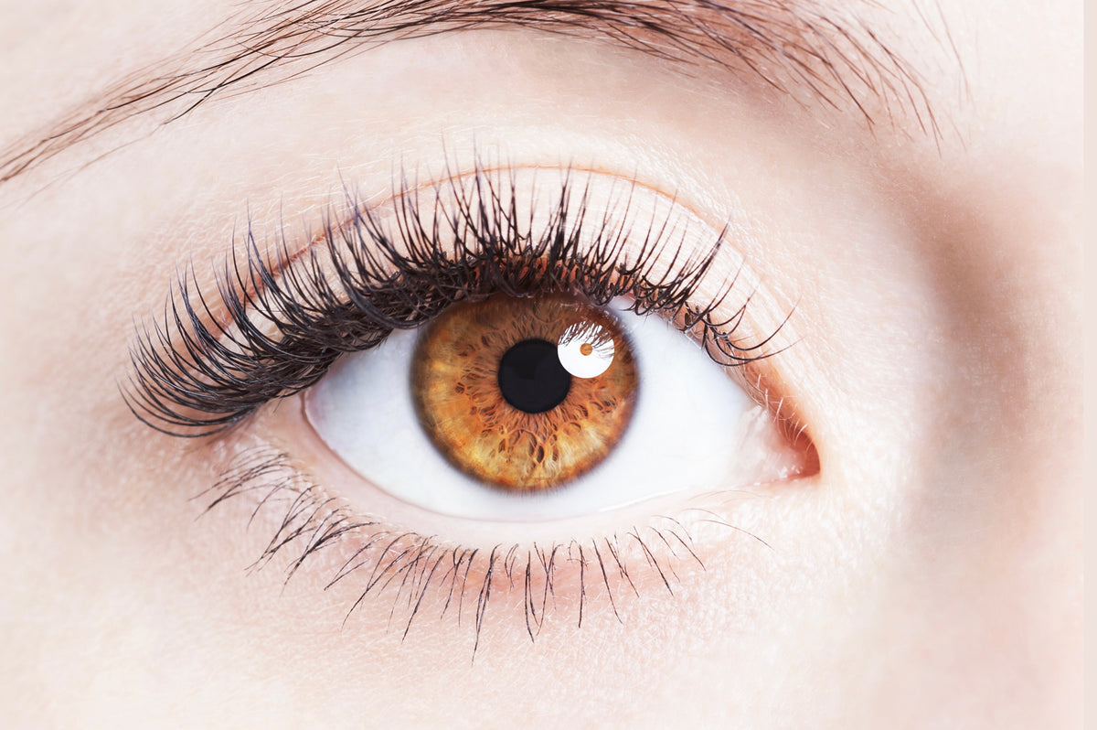 Eyes