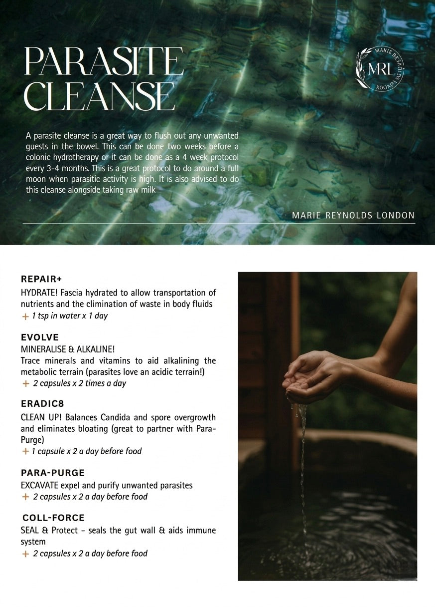 The Parasite Cleanse Program