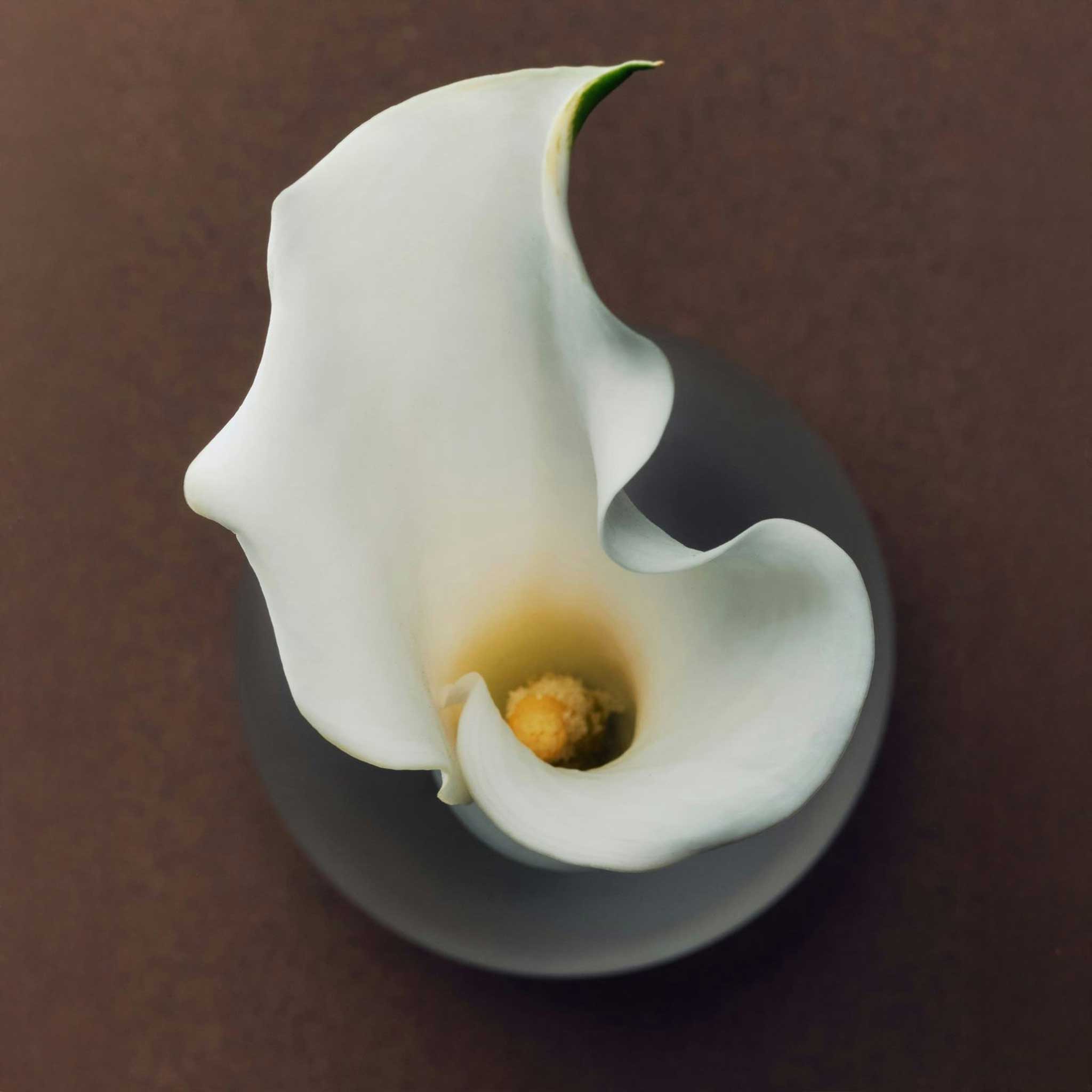 Ozone Therapy Vaginal Insufflation