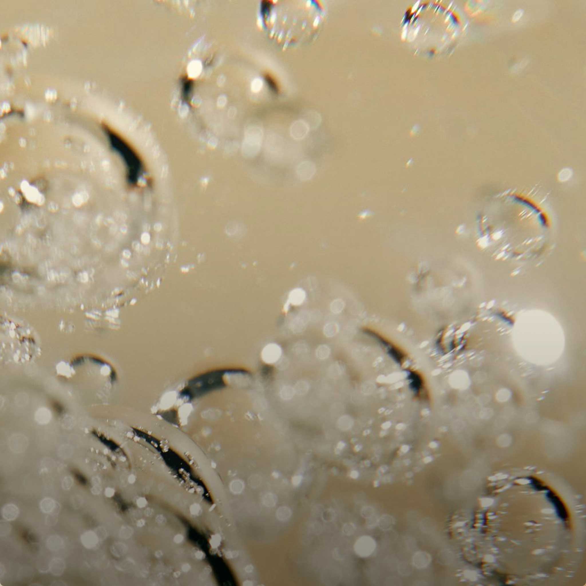 Targeted Hyperbaric Oxygen Therapy (HBOT)