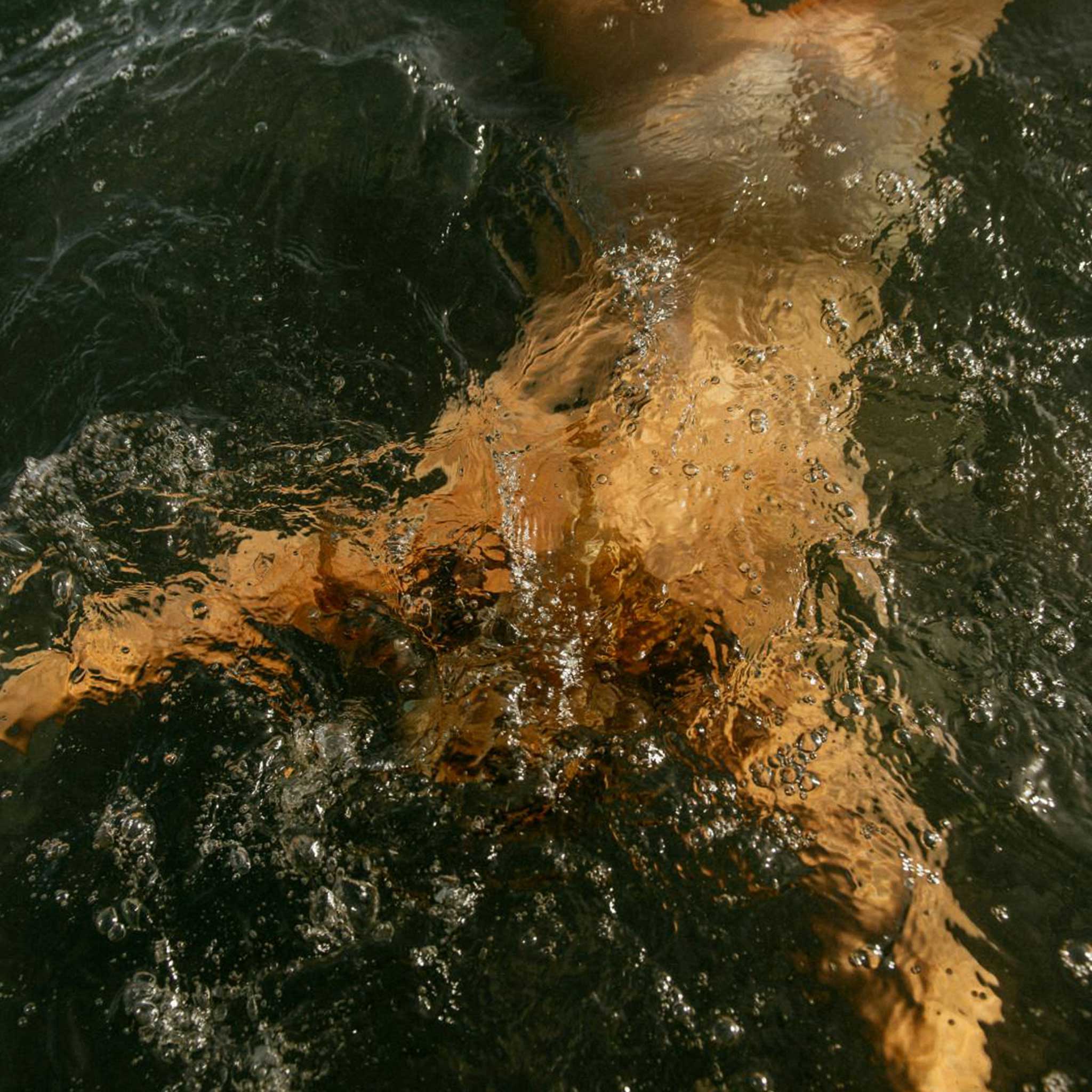 6 Week Detox and Destress