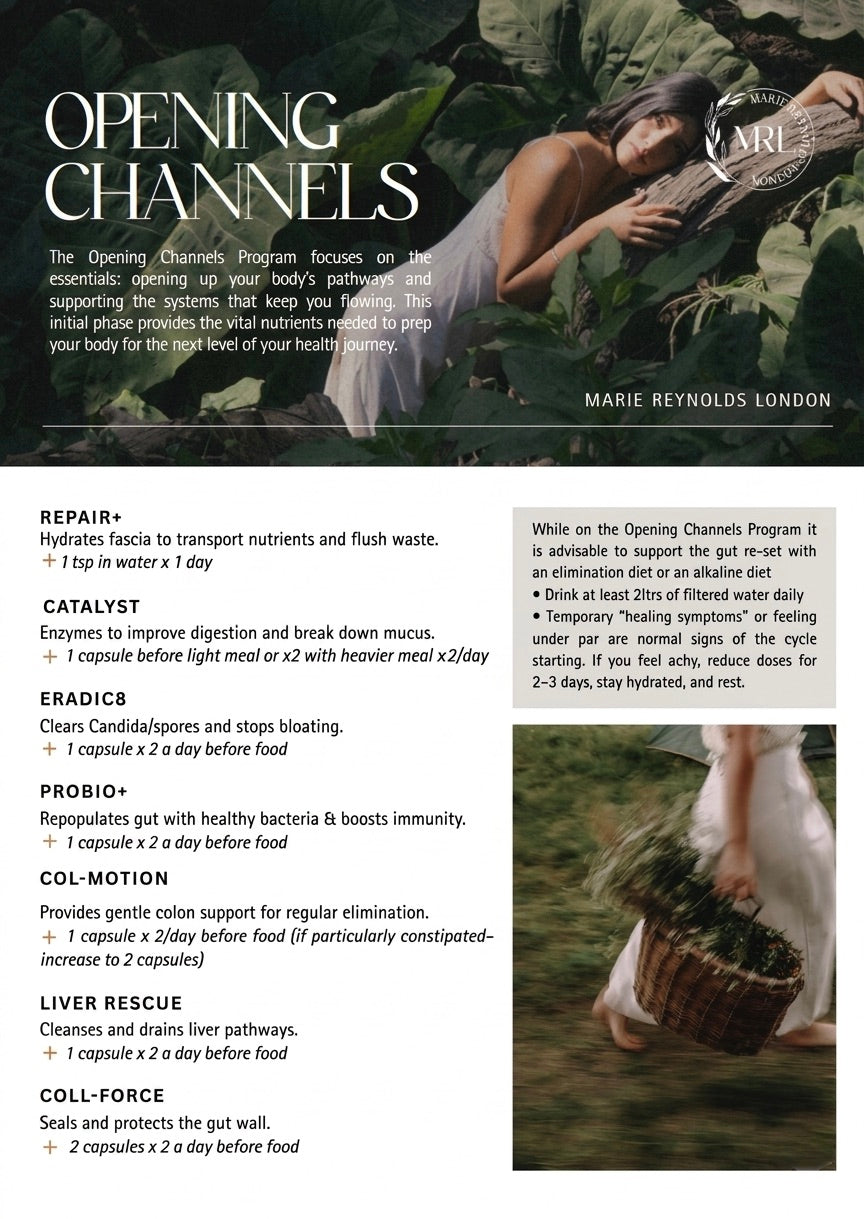 The Opening Channels Program