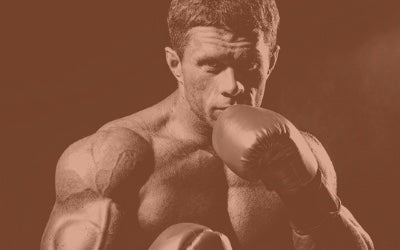 Roll With The Punches