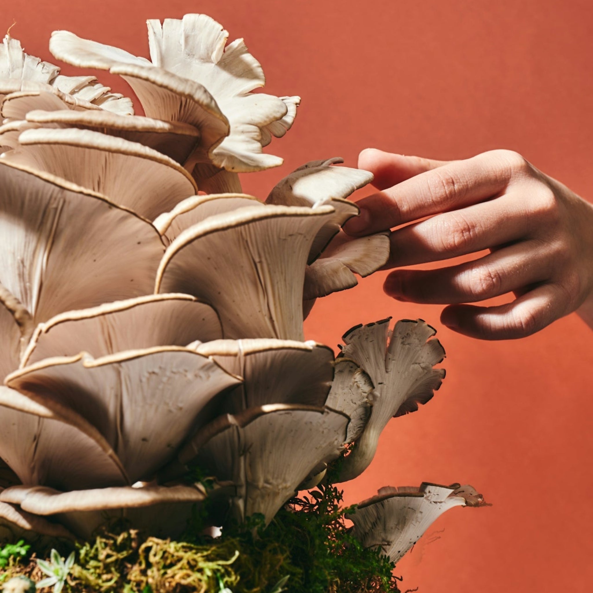 It's A Candida Thing