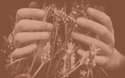 What does ‘Holistic’ mean?