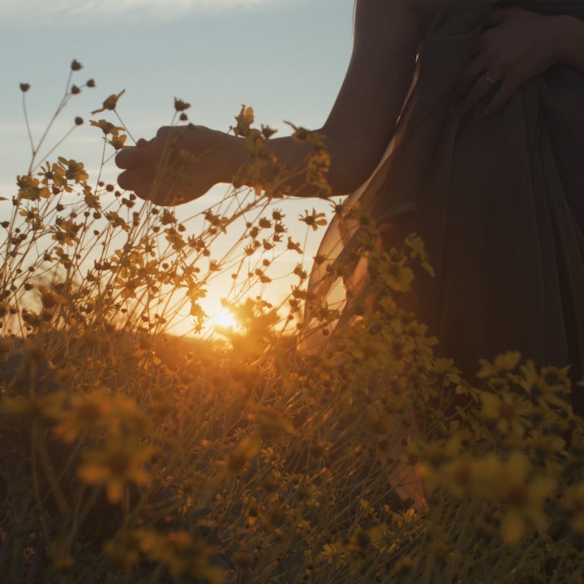 The Hayfever Horrors