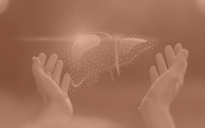 Negotiating with the Liver