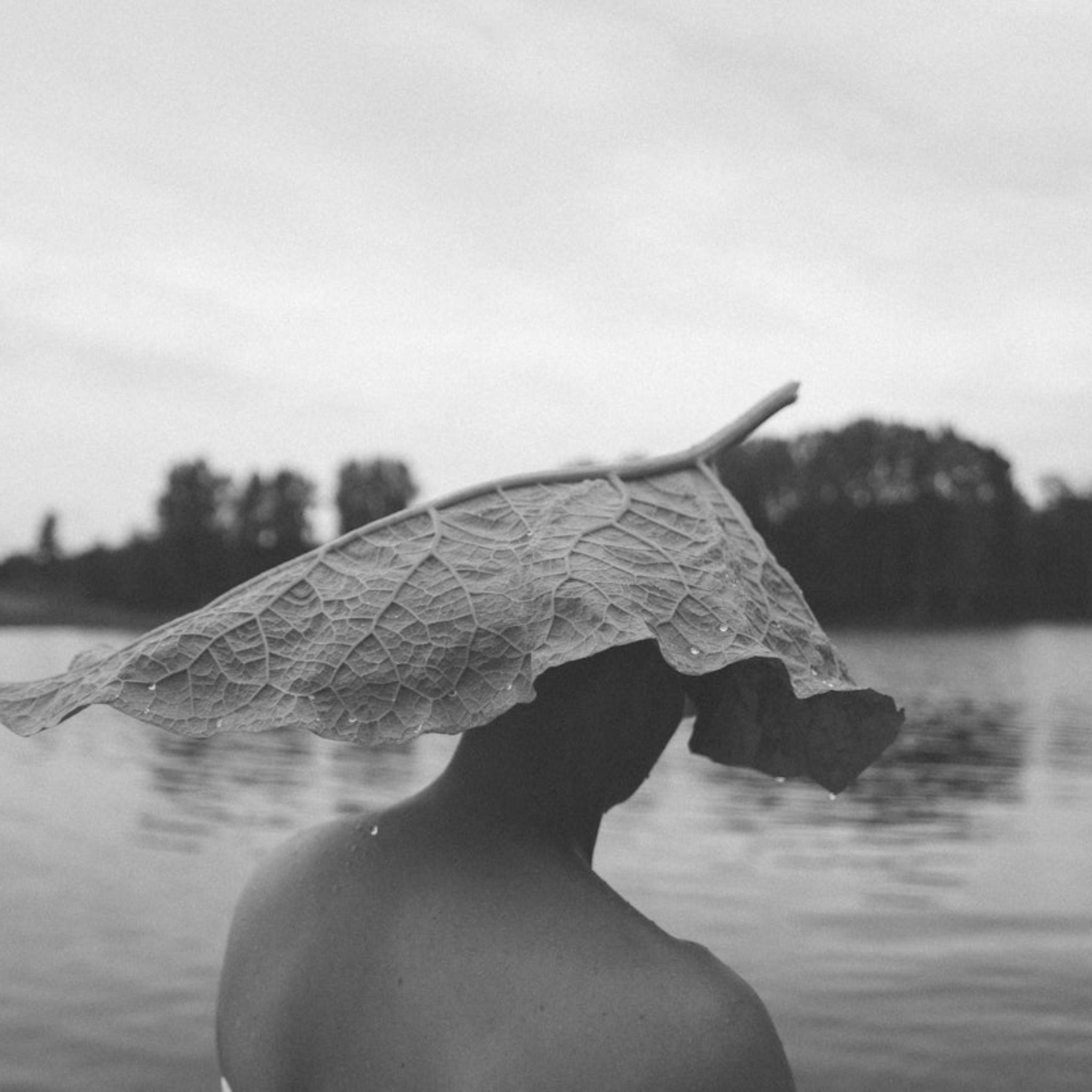 The Tides In Our Veins