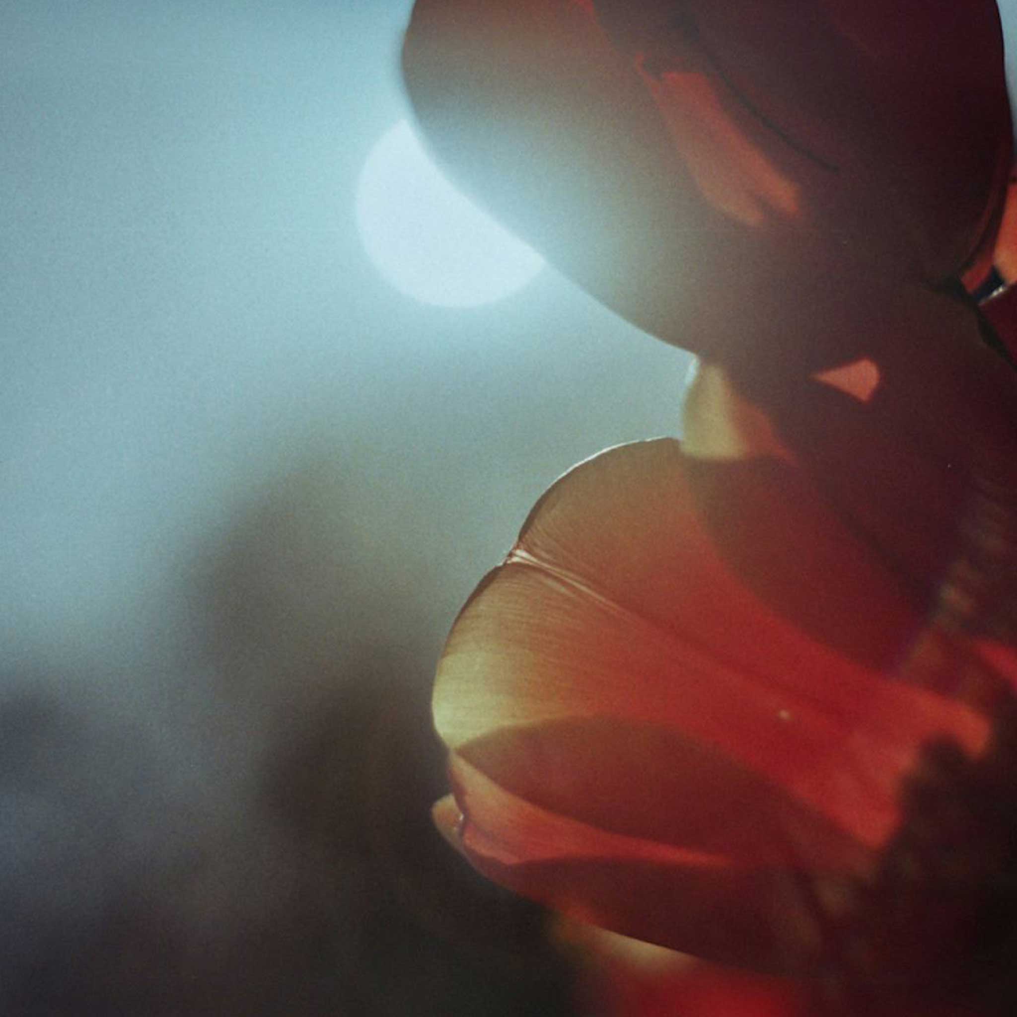 Vitamin D Injection - Single Shot