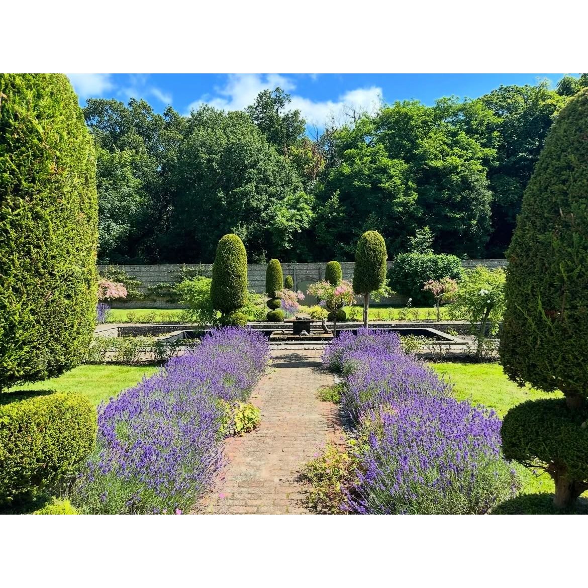 Sorala Retreat & Workshop Feb 1-3rd 2026