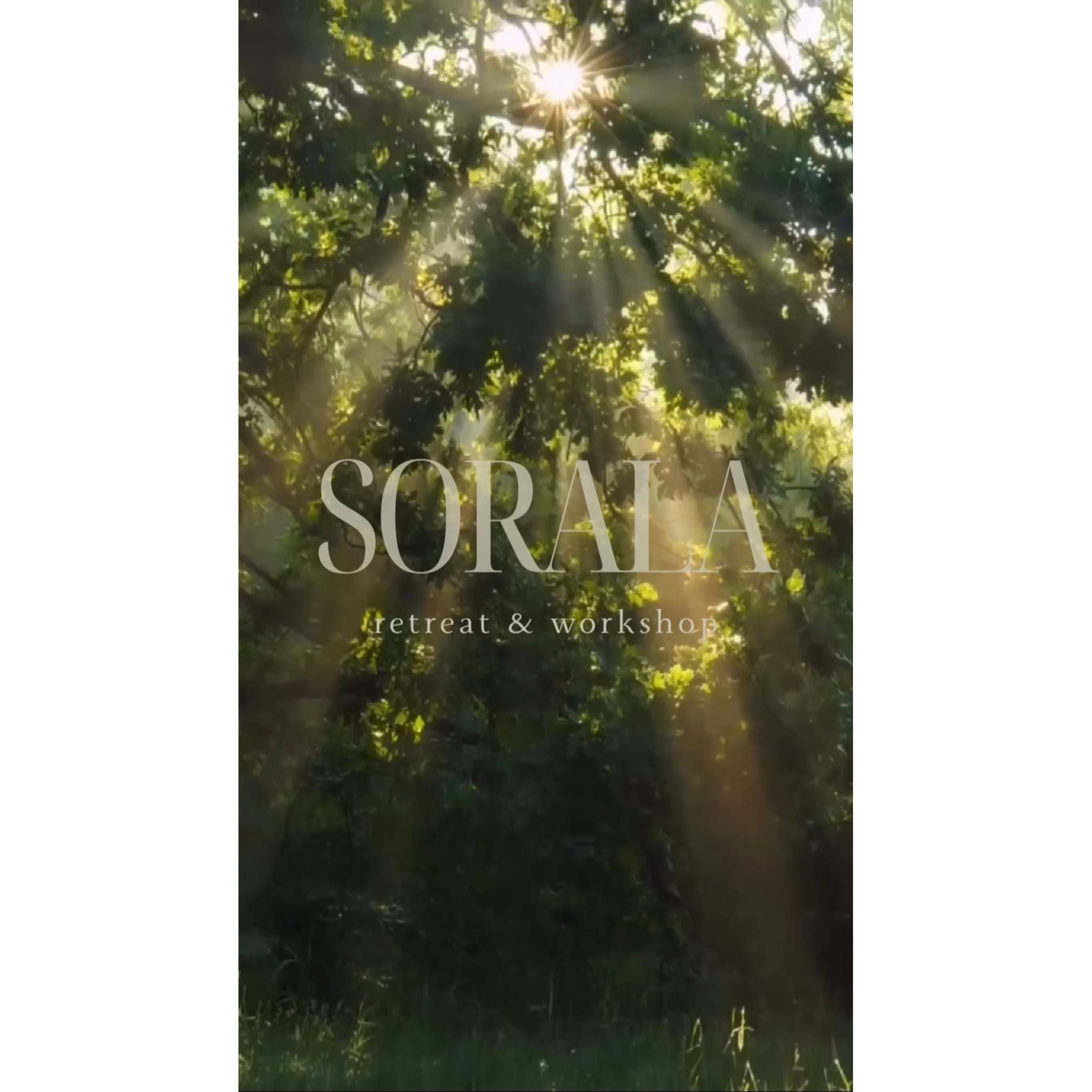 Sorala Retreat & Workshop Feb 1-3rd 2026