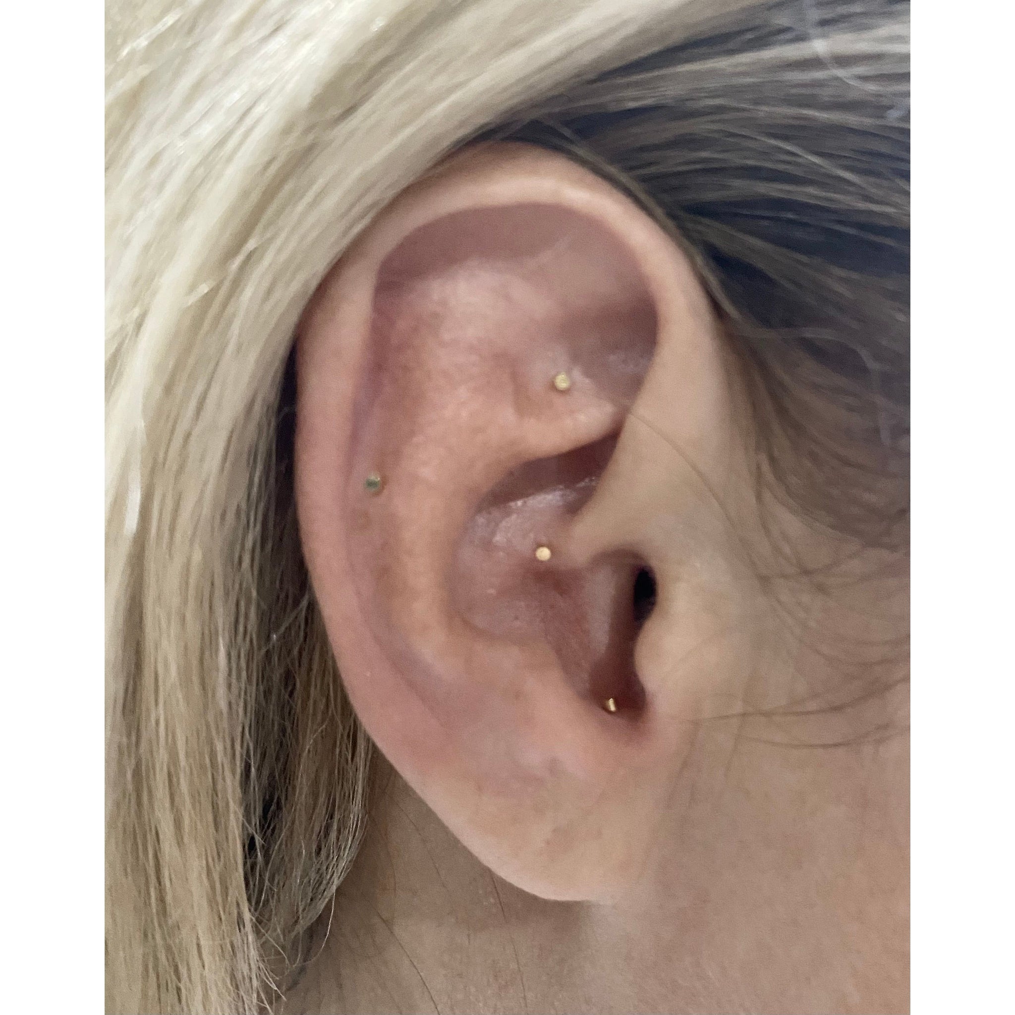 Semi Permanent Ear Seeds (Classic)(London)